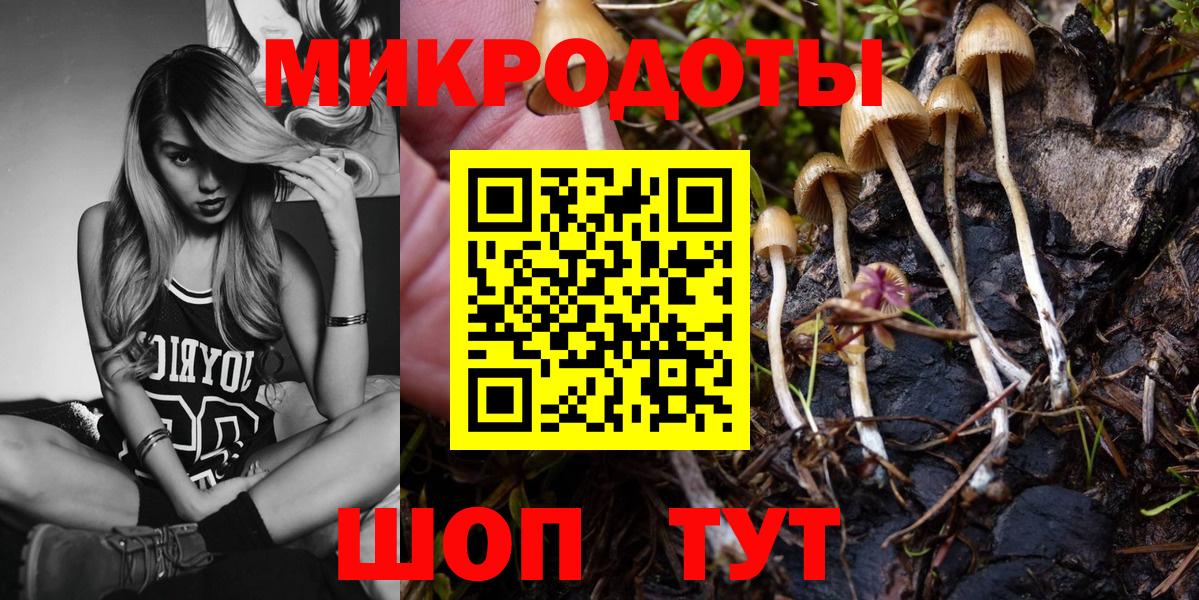 Магадан  Псилоцибиновые грибы мухоморы  Вход с VPN  Псилоцибиновые грибы Psilocybine cubensis 