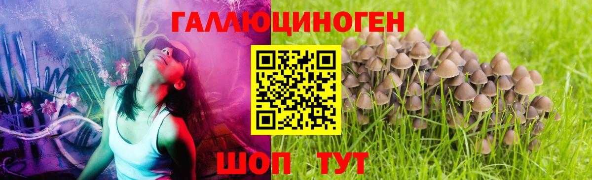 Галлюциногенные грибы прущие грибы Магадан